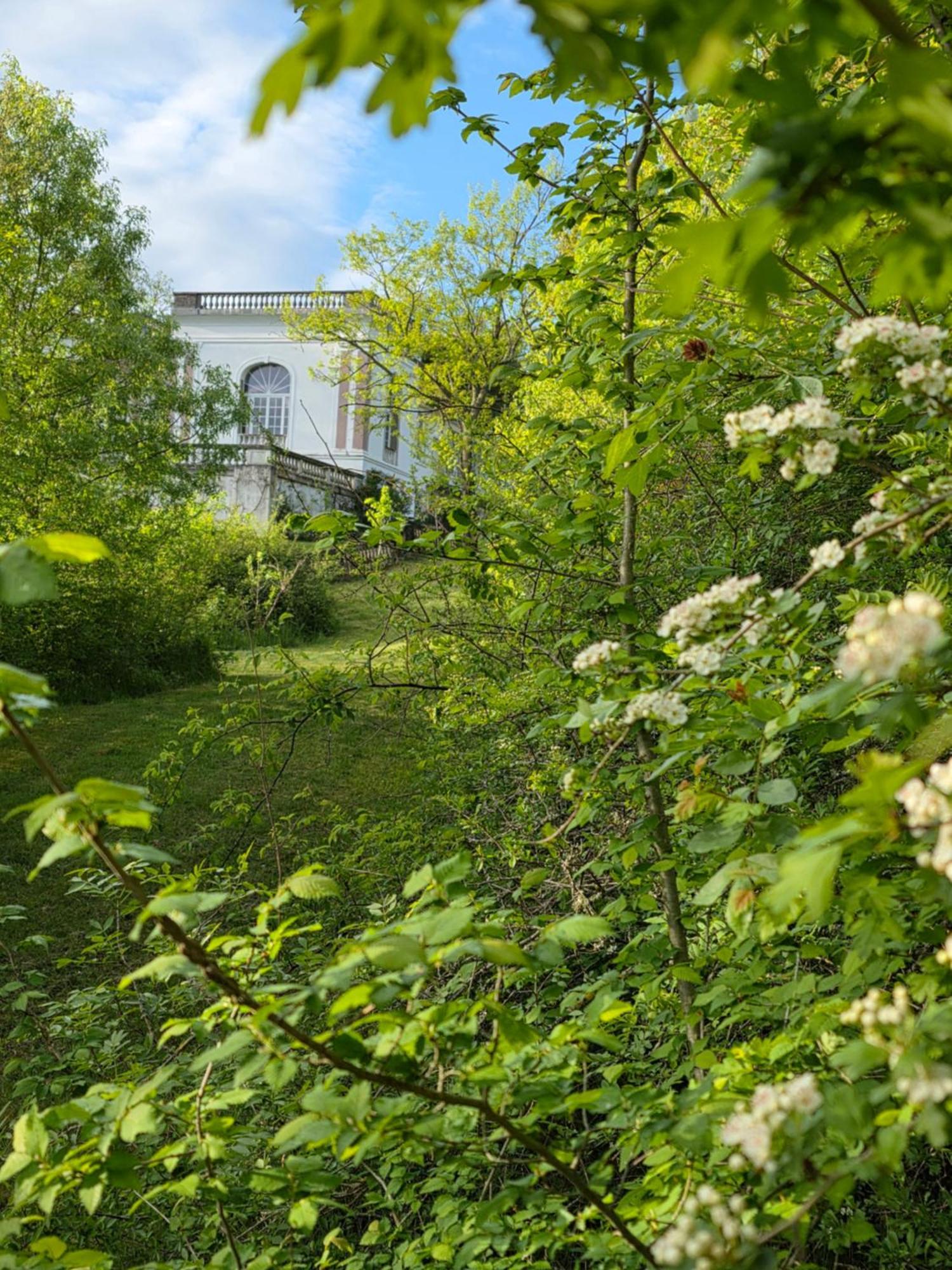 Chateau De Pourpry Damiatte Екстер'єр фото