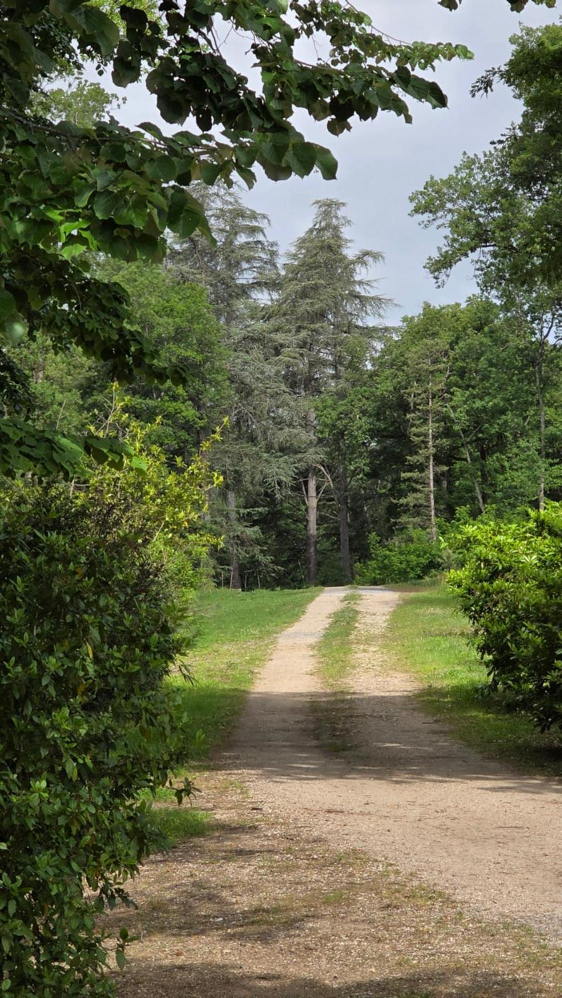 Chateau De Pourpry Damiatte Екстер'єр фото